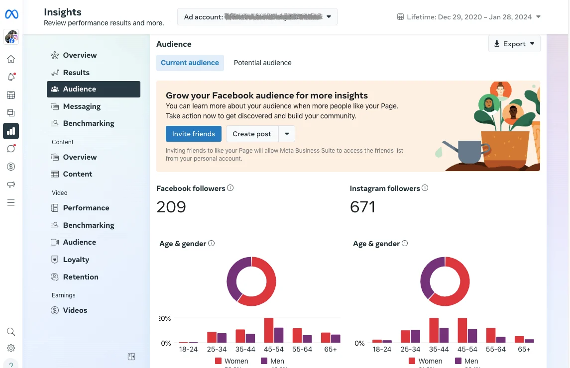 Meta Audience Insights